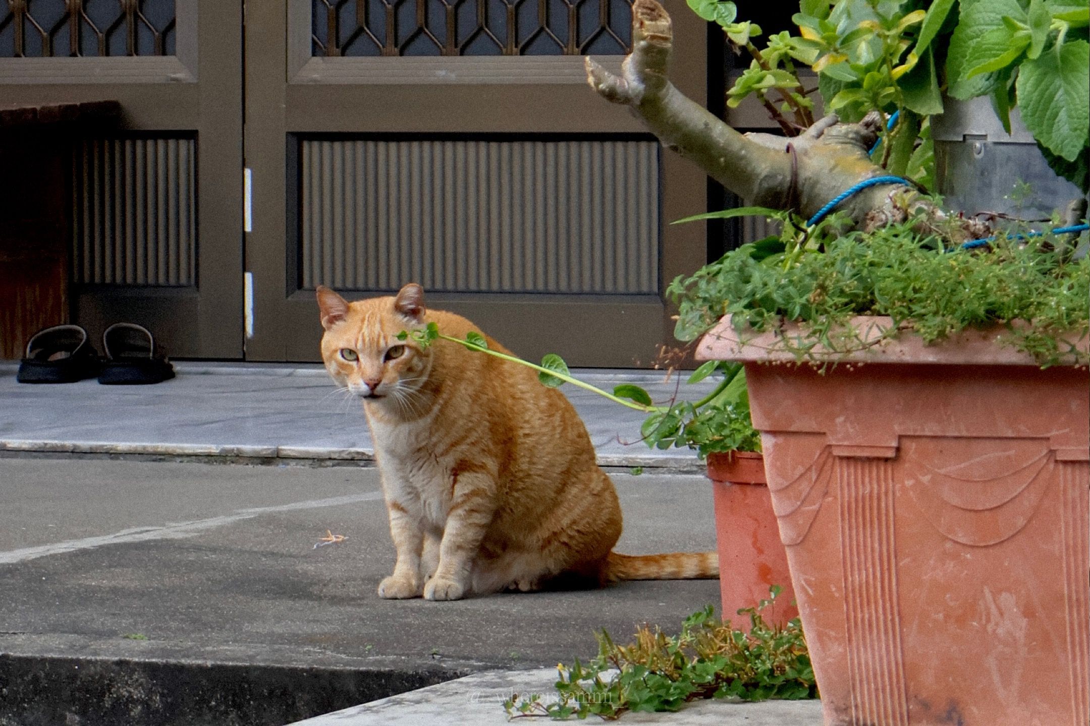 告別擁擠!淡季小琉球漫遊體驗,回歸純樸鄉鎮,感受大自然洗禮的充實!