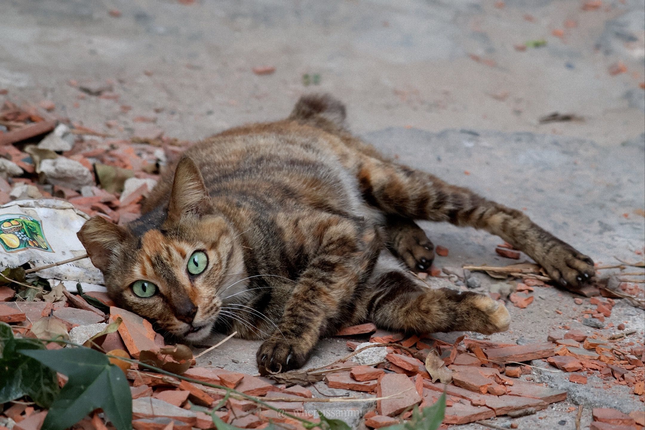 告別擁擠!淡季小琉球漫遊體驗,回歸純樸鄉鎮,感受大自然洗禮的充實!