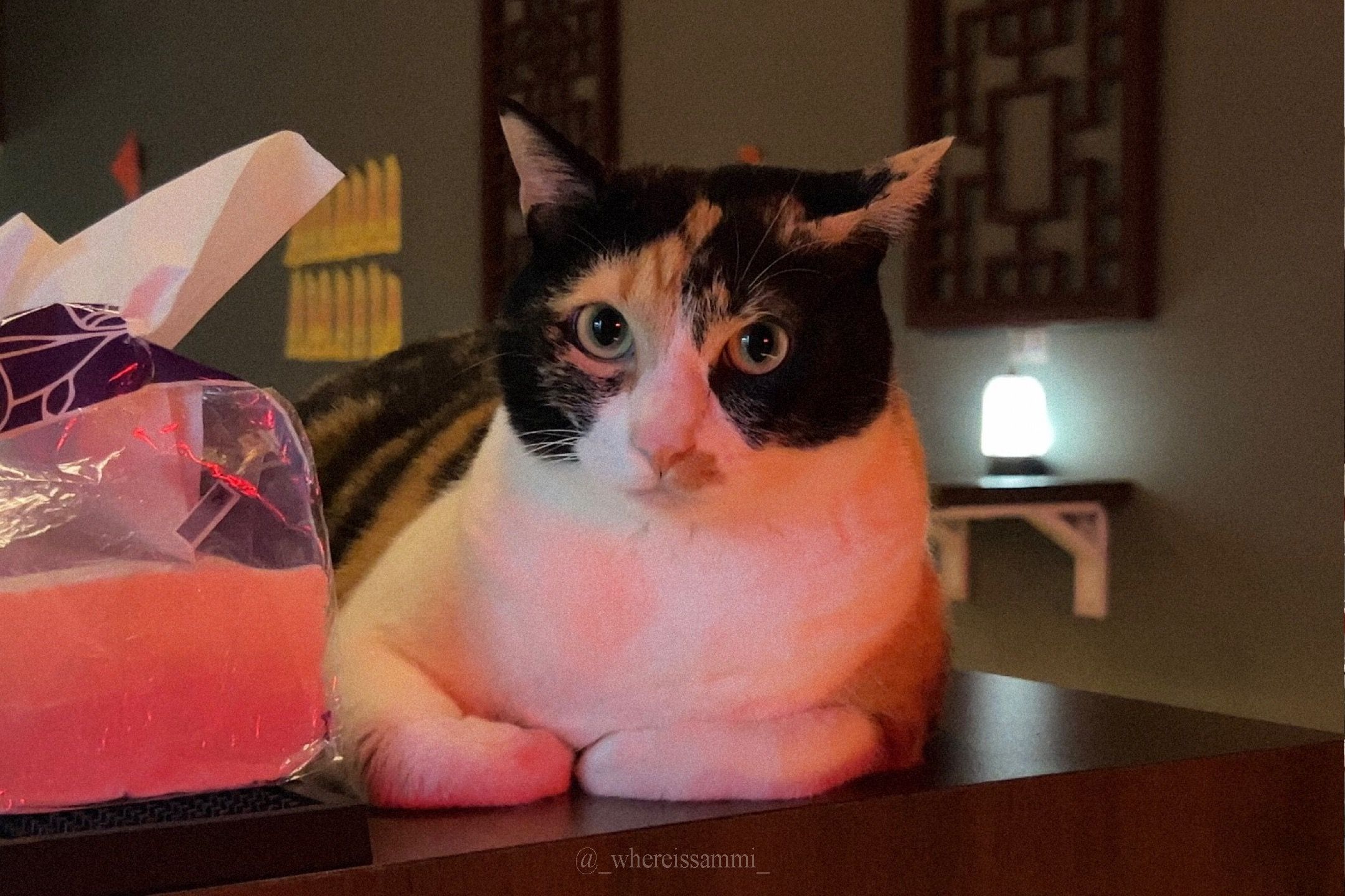 告別擁擠!淡季小琉球漫遊體驗,回歸純樸鄉鎮,感受大自然洗禮的充實!