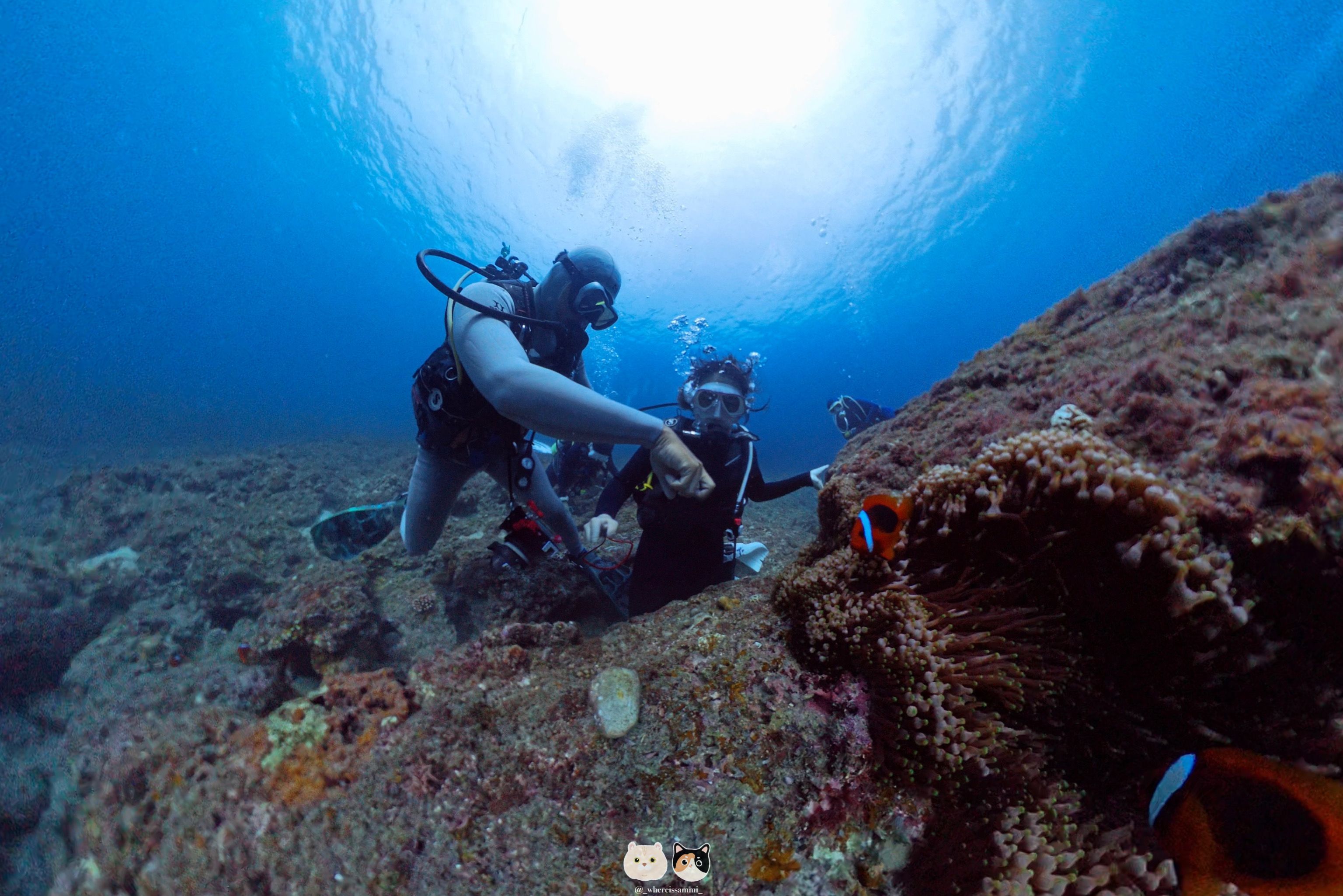 告別擁擠!淡季小琉球漫遊體驗,回歸純樸鄉鎮,感受大自然洗禮的充實!
