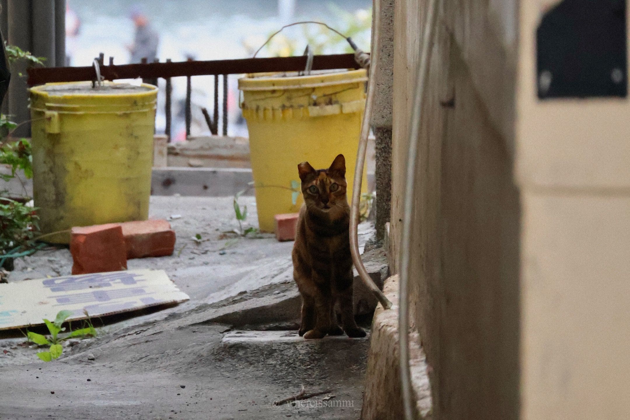 告別擁擠!淡季小琉球漫遊體驗,回歸純樸鄉鎮,感受大自然洗禮的充實!