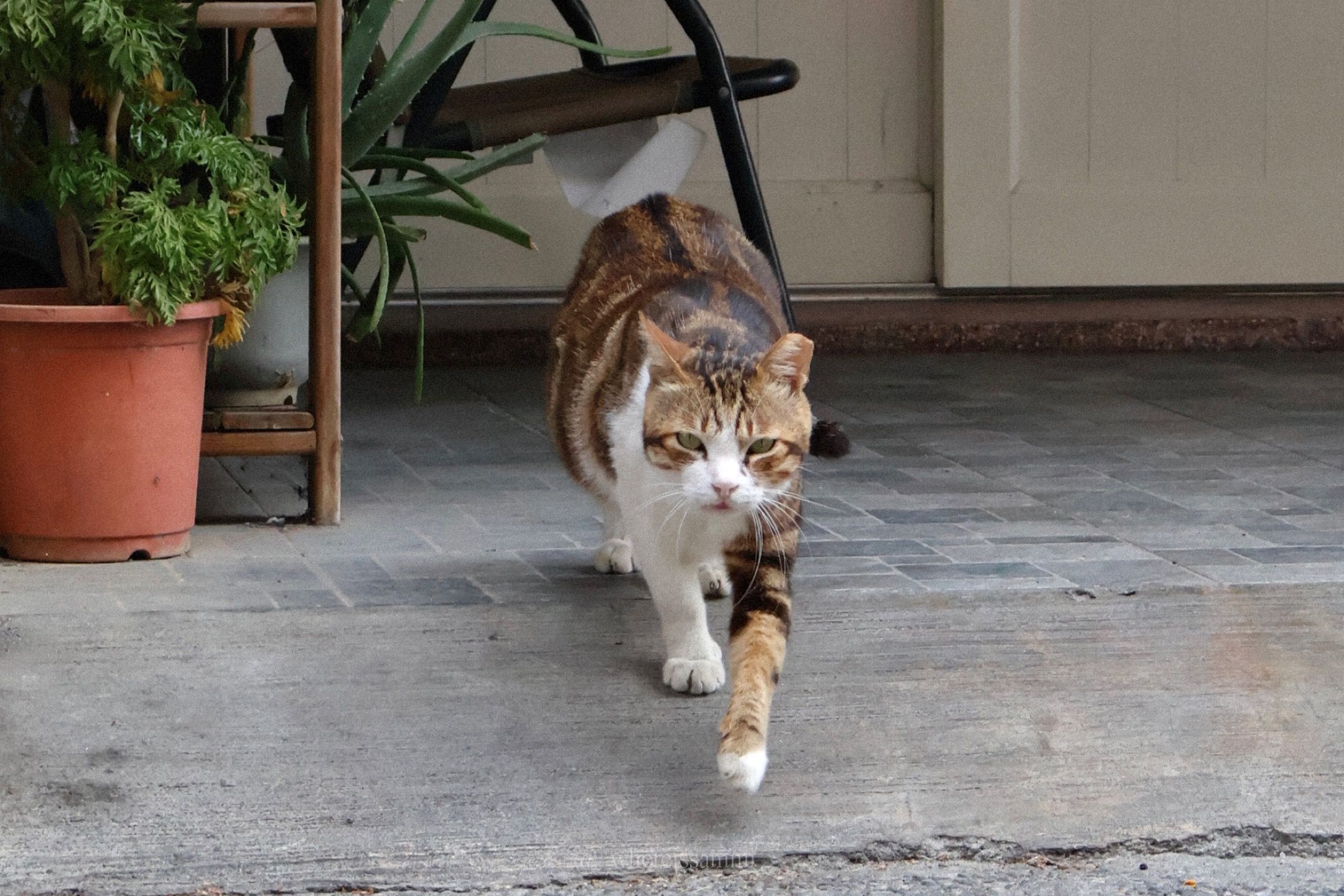 告別擁擠!淡季小琉球漫遊體驗,回歸純樸鄉鎮,感受大自然洗禮的充實!