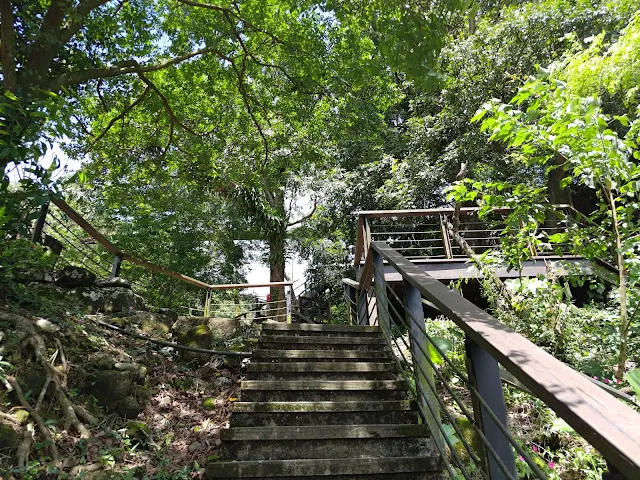 觸口天長地久橋 (阿里山國家風景區) - 天長橋步道 觸口天長地久橋 (阿里山國家風景區) - 天長橋步道