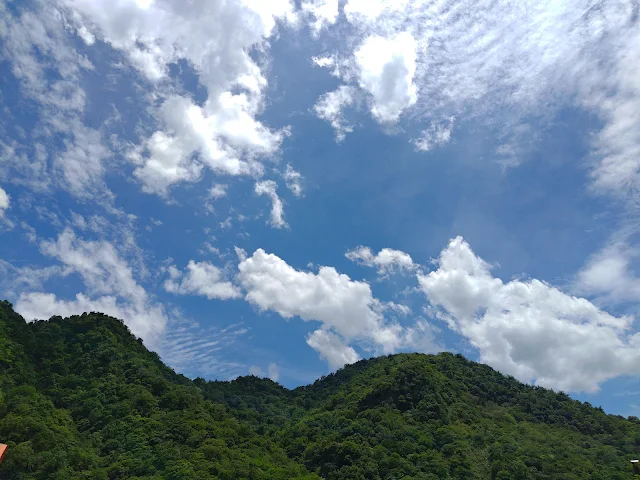 觸口天長地久橋 (阿里山國家風景區) - 地久橋 觸口天長地久橋 (阿里山國家風景區) - 地久橋