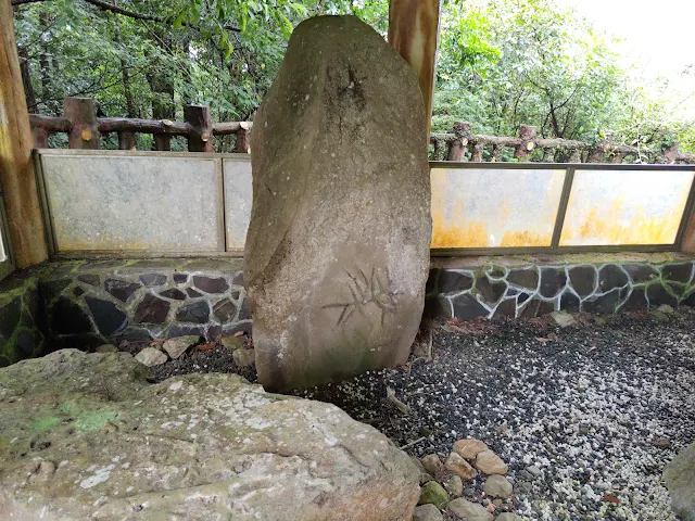 東眼山國家森林遊樂區 - 地質走廊 - 生痕化石區