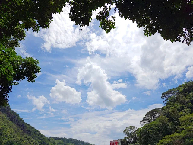 觸口天長地久橋 (阿里山國家風景區) - 地久橋 - 景觀臺 觸口天長地久橋 (阿里山國家風景區) - 地久橋 - 景觀臺
