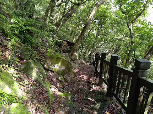 東眼山國家森林遊樂區 - 親子峰步道