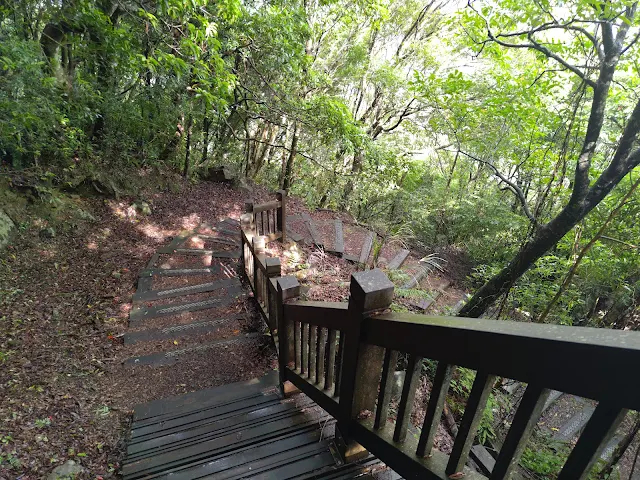 東眼山國家森林遊樂區 - 親子峰步道