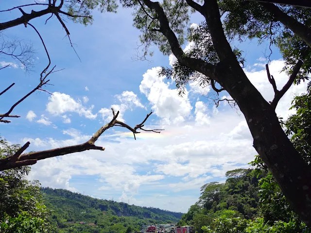 觸口天長地久橋 (阿里山國家風景區) - 涼亭 - 彩虹 觸口天長地久橋 (阿里山國家風景區) - 涼亭 - 彩虹