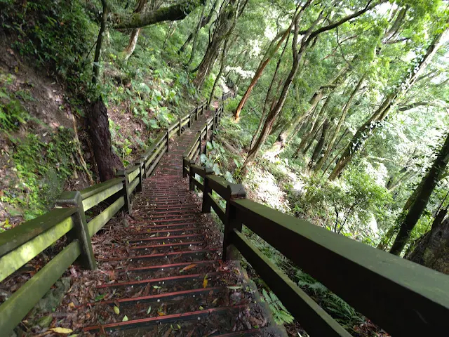 東眼山國家森林遊樂區 - 親子峰步道