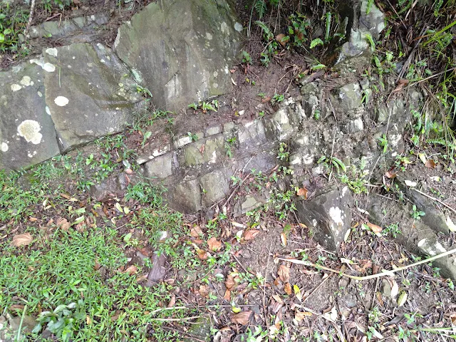 東眼山國家森林遊樂區 - 地質走廊 - 層理