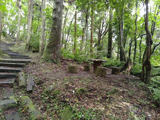 東眼山國家森林遊樂區 - 親子峰步道
