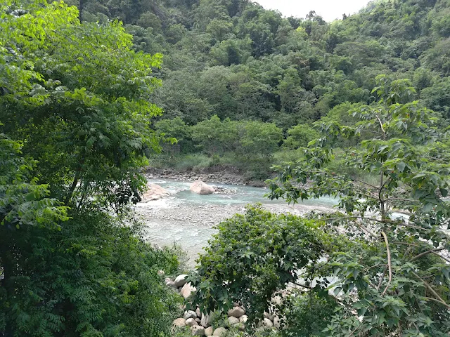 觸口天長地久橋 (阿里山國家風景區) - 八掌溪 觸口天長地久橋 (阿里山國家風景區) - 八掌溪