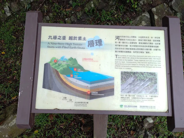 東眼山國家森林遊樂區 - 地質走廊 - 層理