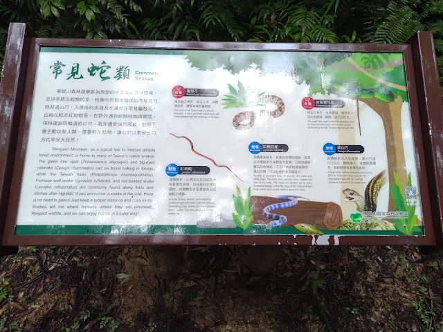 東眼山國家森林遊樂區 - 親子峰步道