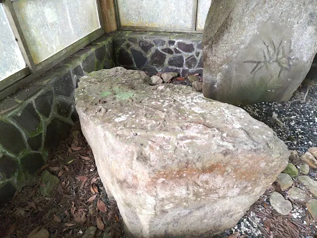 東眼山國家森林遊樂區 - 地質走廊 - 生痕化石區