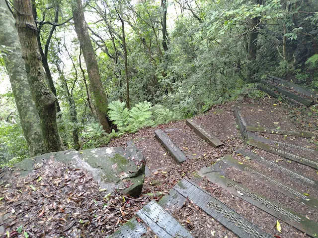 東眼山國家森林遊樂區 - 親子峰步道