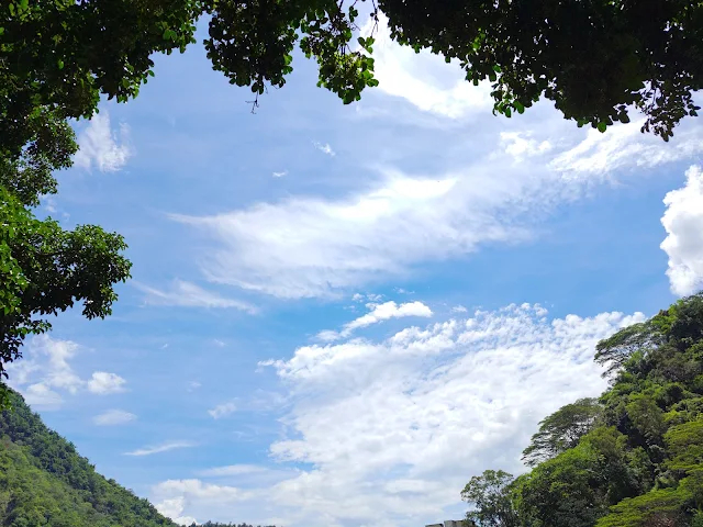 觸口天長地久橋 (阿里山國家風景區) - 地久橋 - 景觀臺 觸口天長地久橋 (阿里山國家風景區) - 地久橋 - 景觀臺