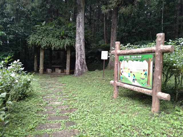 東眼山國家森林遊樂區 - 地質走廊