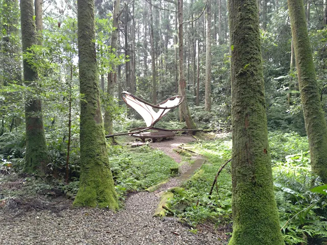 東眼山國家森林遊樂區 - 親子峰步道