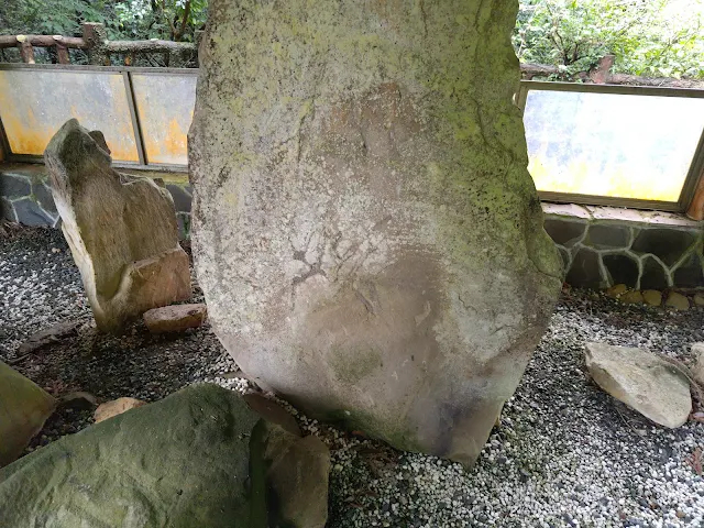 東眼山國家森林遊樂區 - 地質走廊 - 生痕化石區