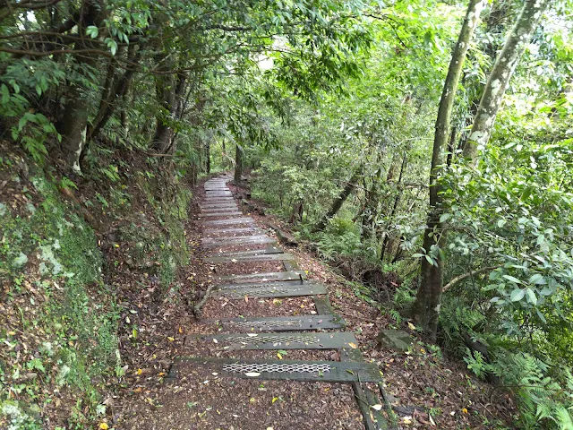 東眼山國家森林遊樂區 - 親子峰步道