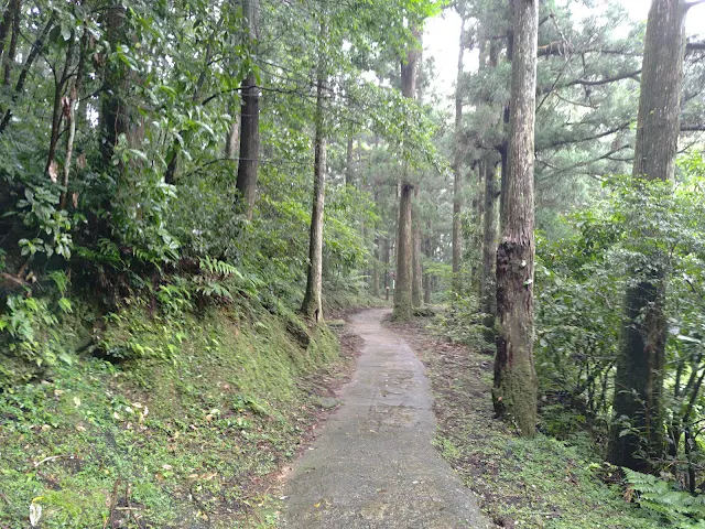 東眼山國家森林遊樂區 - 親子峰步道
