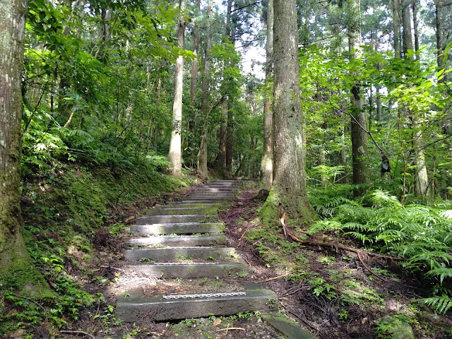 東眼山國家森林遊樂區 - 親子峰步道