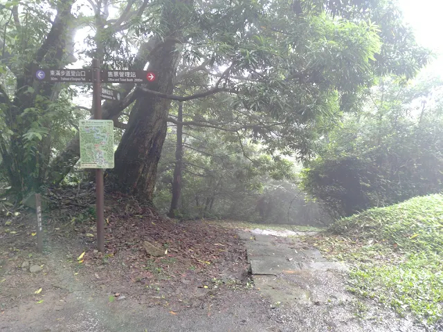 東眼山國家森林遊樂區 - 地質走廊