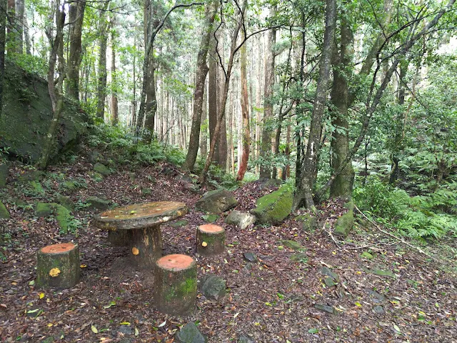 東眼山國家森林遊樂區 - 親子峰步道