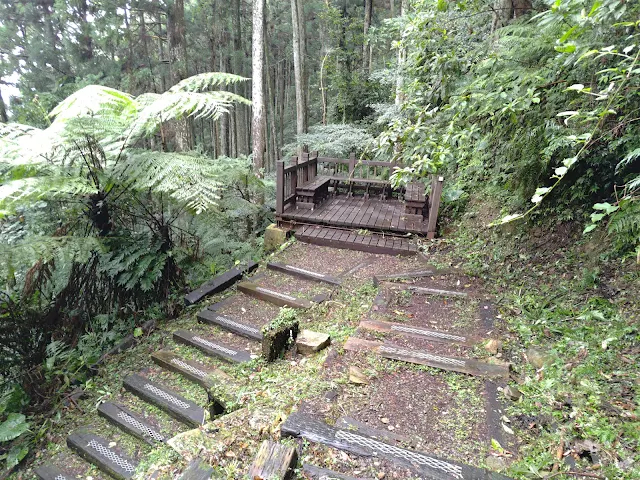 東眼山國家森林遊樂區 - 親子峰步道