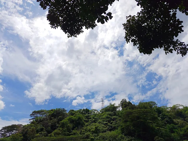 觸口天長地久橋 (阿里山國家風景區) - 地久橋 - 景觀臺 觸口天長地久橋 (阿里山國家風景區) - 地久橋 - 景觀臺