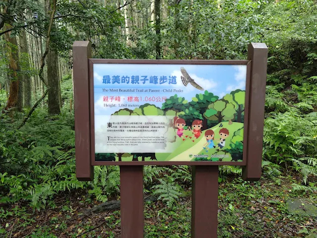 東眼山國家森林遊樂區 - 親子峰步道