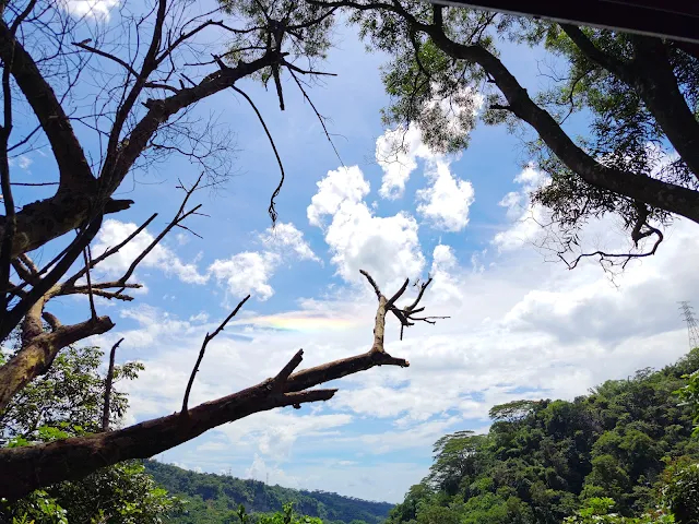 觸口天長地久橋 (阿里山國家風景區) - 涼亭 - 彩虹 觸口天長地久橋 (阿里山國家風景區) - 涼亭 - 彩虹