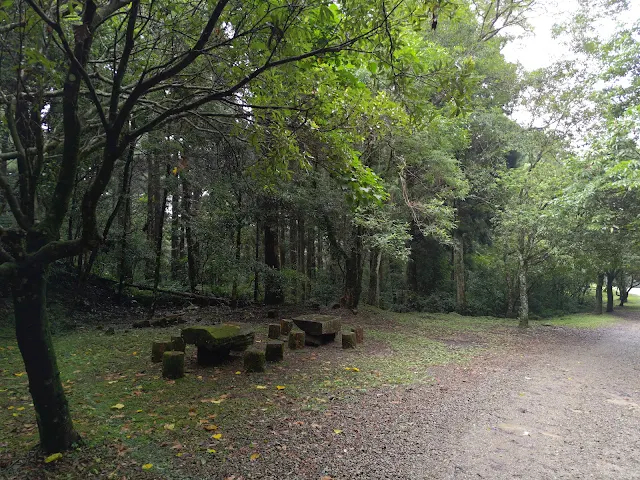 東眼山國家森林遊樂區 - 地質走廊