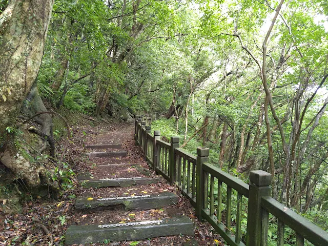 東眼山國家森林遊樂區 - 親子峰步道