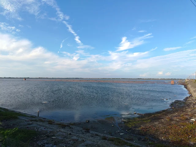 白水湖壽島 白水湖壽島