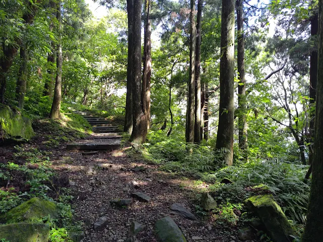 東眼山國家森林遊樂區 - 親子峰步道