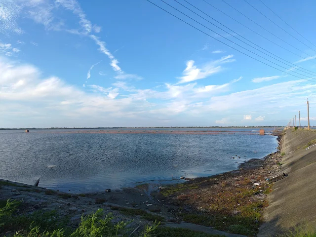 白水湖壽島 白水湖壽島