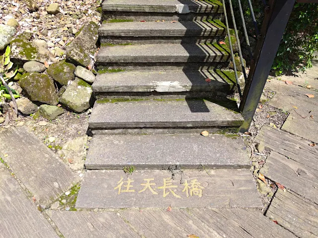 觸口天長地久橋 (阿里山國家風景區) - 天長橋步道 觸口天長地久橋 (阿里山國家風景區) - 天長橋步道