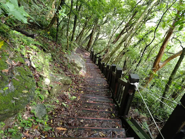 東眼山國家森林遊樂區 - 親子峰步道