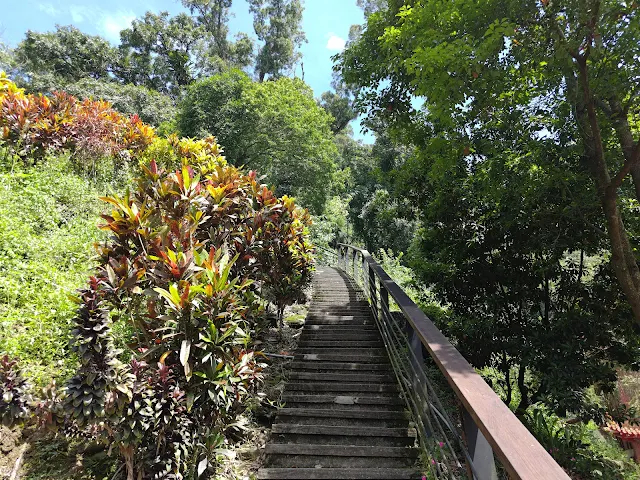 觸口天長地久橋 (阿里山國家風景區) - 天長橋步道 觸口天長地久橋 (阿里山國家風景區) - 天長橋步道