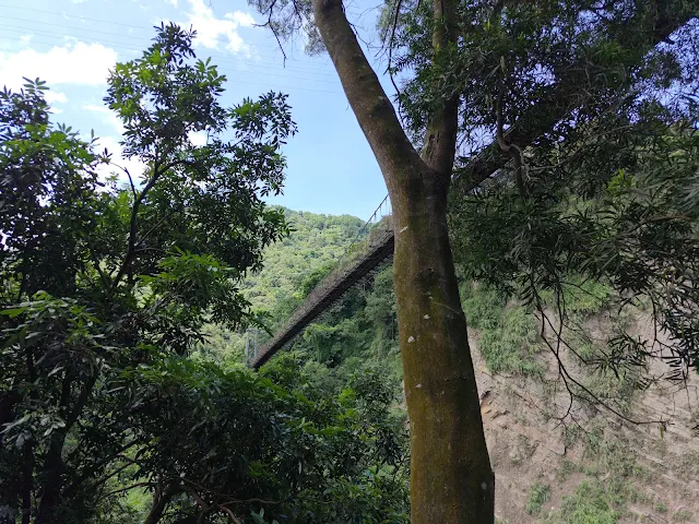 觸口天長地久橋 (阿里山國家風景區) - 天長橋步道 - 天長橋 觸口天長地久橋 (阿里山國家風景區) - 天長橋步道 - 天長橋