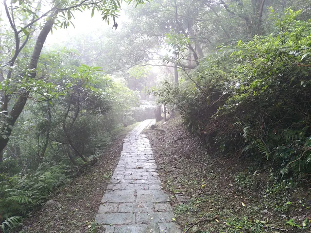 東眼山國家森林遊樂區 - 地質走廊
