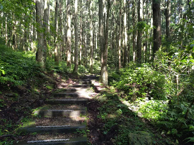 東眼山國家森林遊樂區 - 親子峰步道