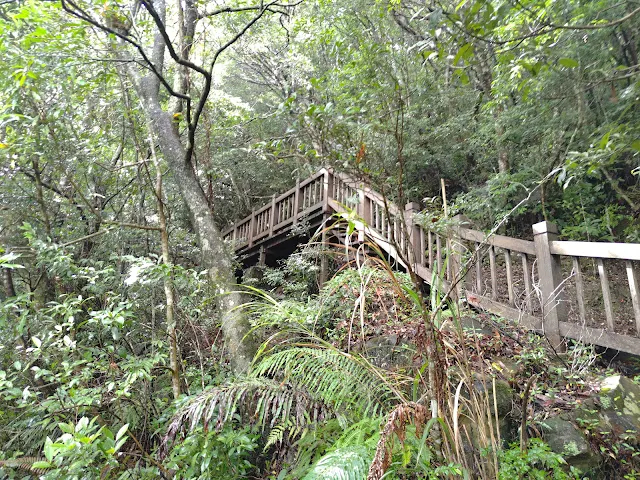 東眼山國家森林遊樂區 - 親子峰步道