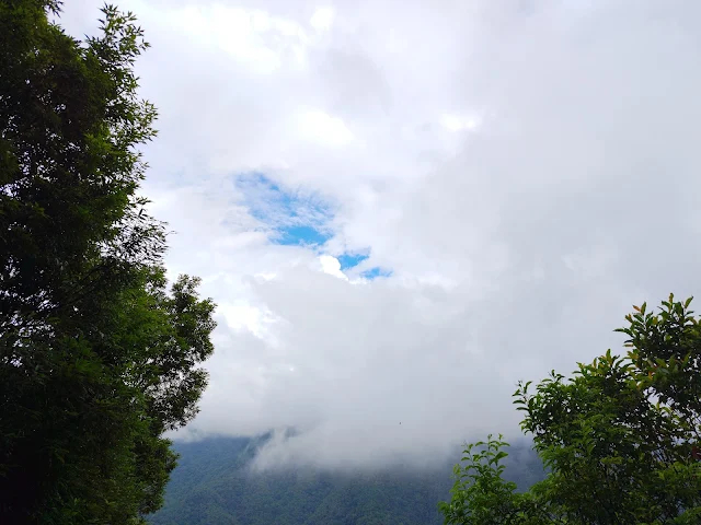 東眼山國家森林遊樂區 - 親子峰步道