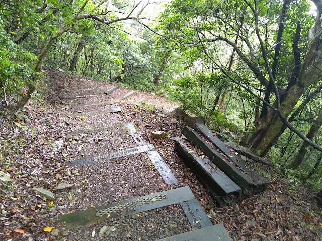 東眼山國家森林遊樂區 - 親子峰步道