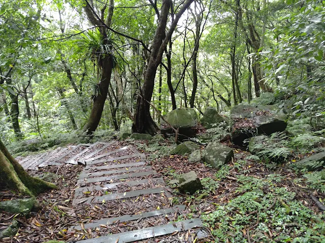東眼山國家森林遊樂區 - 親子峰步道
