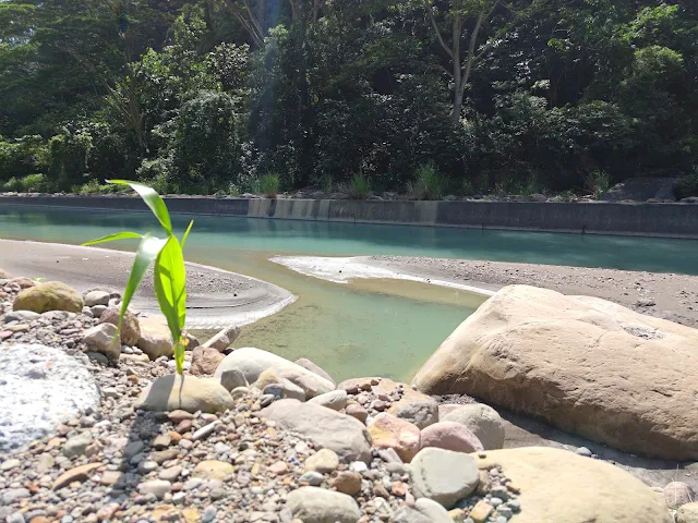 觸口天長地久橋 (阿里山國家風景區) - 地久橋下「停車場」 - 八掌溪 觸口天長地久橋 (阿里山國家風景區) - 地久橋下「停車場」 - 八掌溪